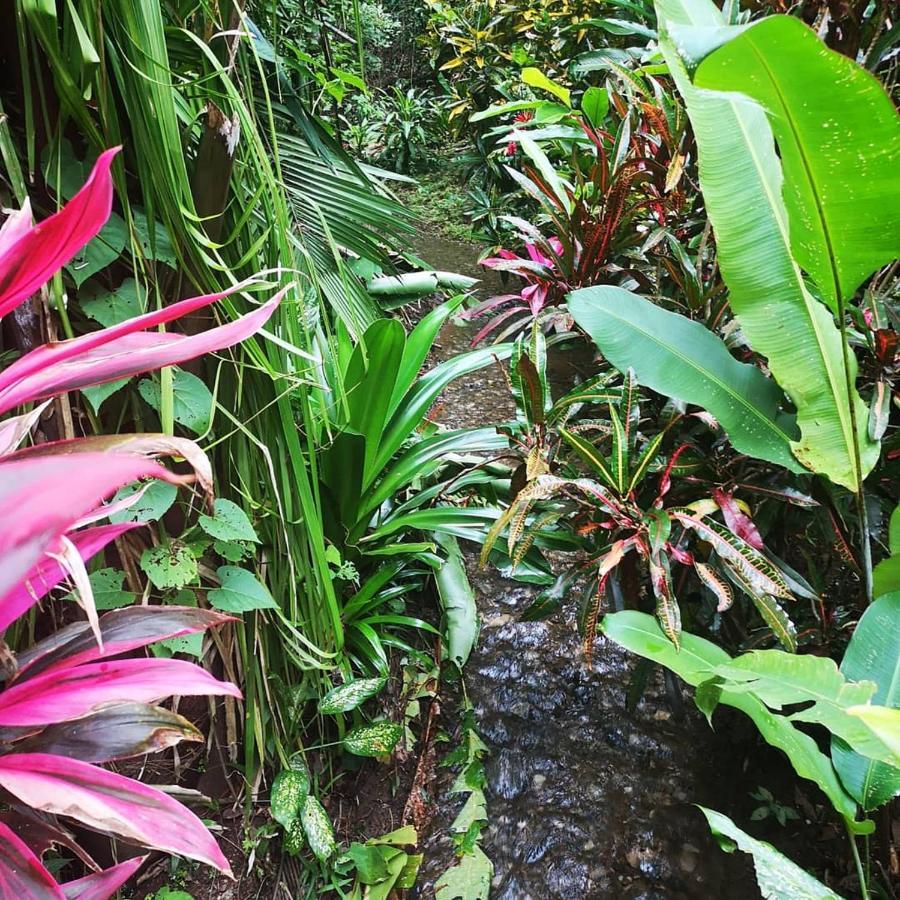 Hotel Belvedere Playa Samara Costa Rica Luaran gambar
