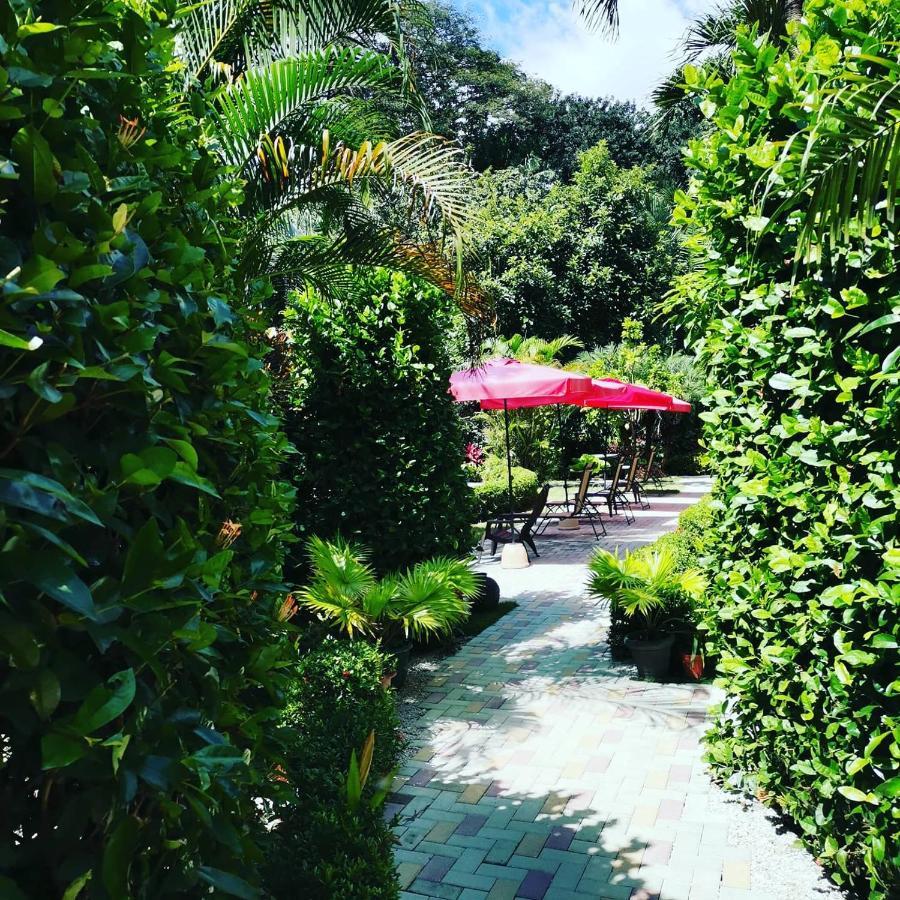 Hotel Belvedere Playa Samara Costa Rica Luaran gambar
