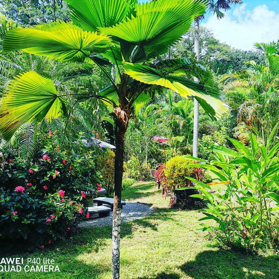Hotel Belvedere Playa Samara Costa Rica Luaran gambar