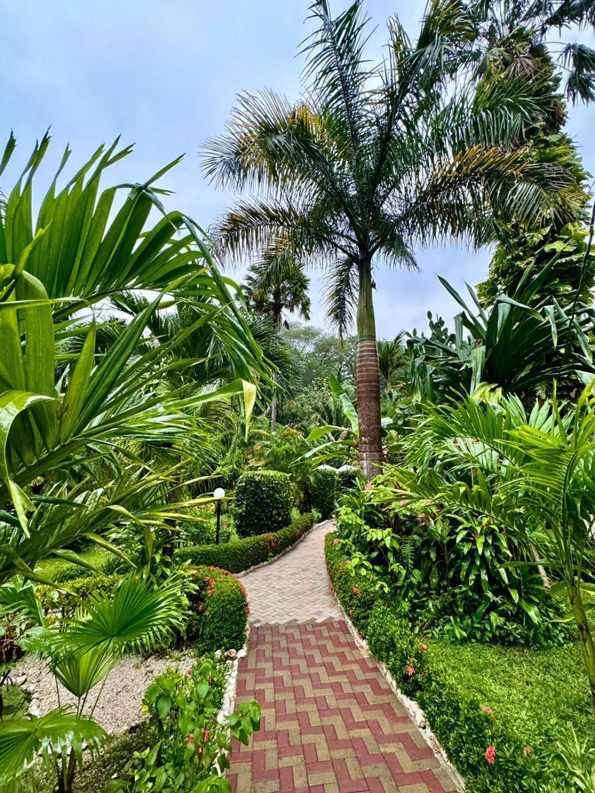 Hotel Belvedere Playa Samara Costa Rica Luaran gambar
